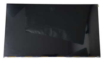 NEW MATRIX 24.5" M250HTN01.6 ACER KG251QB XF250QB 1920x1080 144Hz