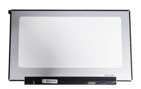 NEW 17.3" BOE NV173FHM-N46 1920x1080 LCD MATRIX AN517-41 AN517-42 30PIN